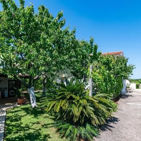 Apartment Tina Pula